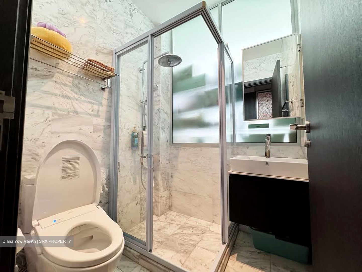 Zenith (D10), Apartment #587343721